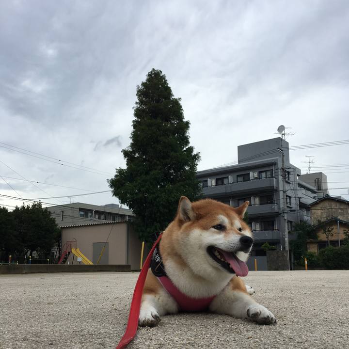 9af9cf6c 1d4f 4b71 8f70 03d3e49dd843 1595821384365