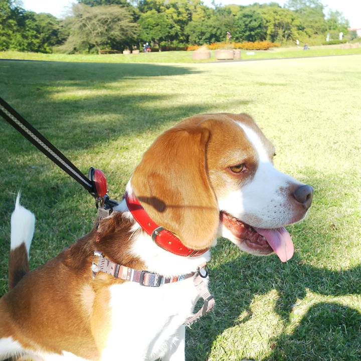 9af9e066 4a08 4dc3 8ab3 8c6d0573212f 1635063143154