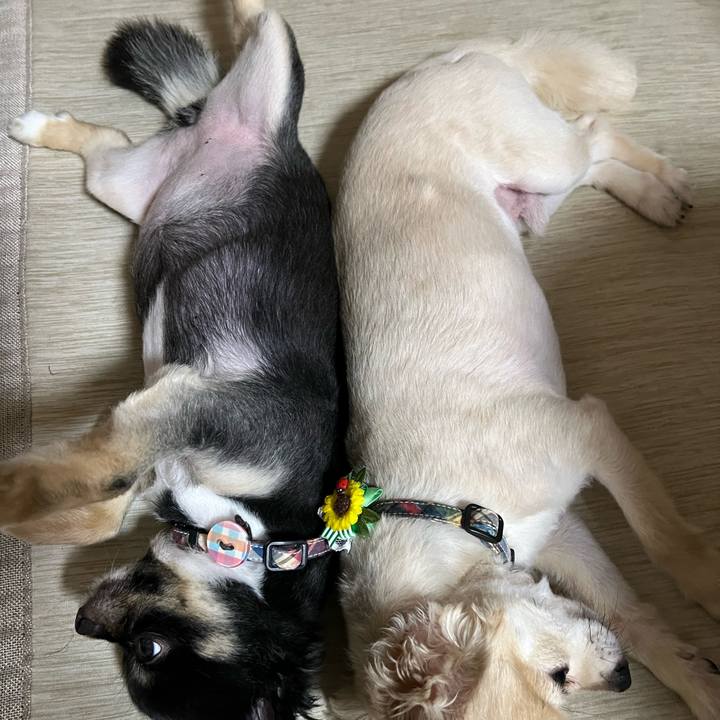 9af9e6a4 5a2f 4723 a4a7 f0ec1318f311 1720133610313