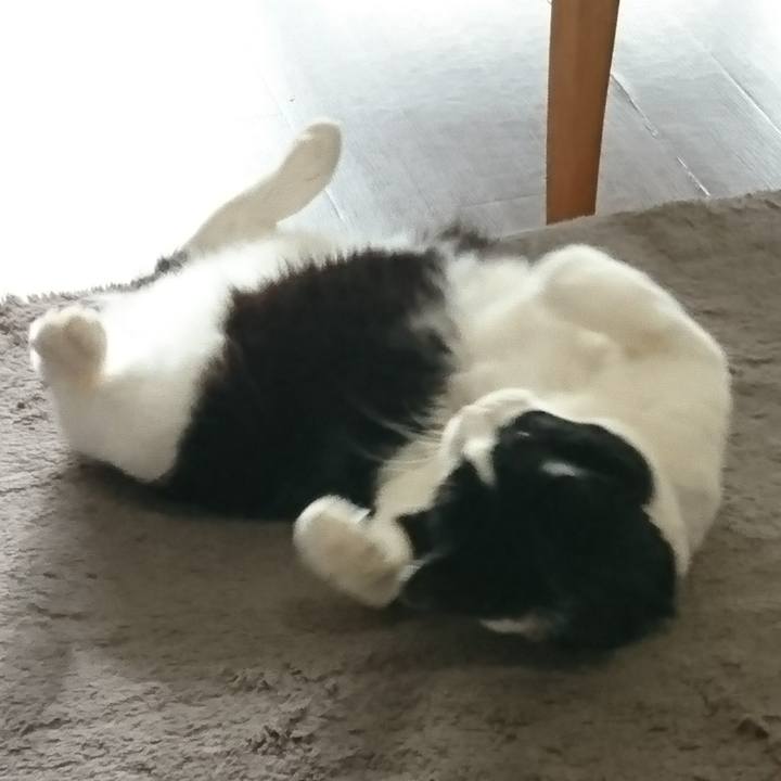 9af9f641 def2 47fb aa12 99c4091f1c30 1578470070104