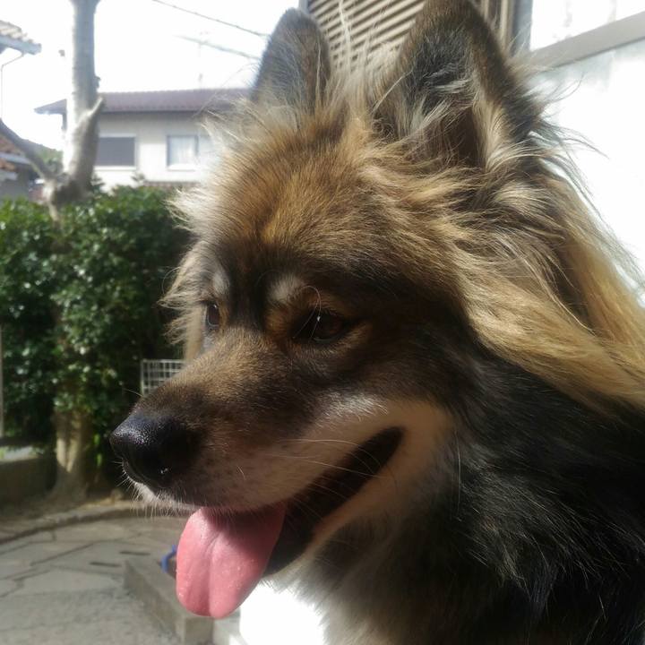 9afa20f4 b51f 4210 8172 22e02c34c20b 1547781575091