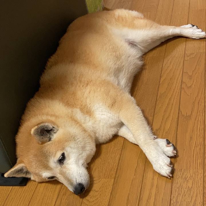 9afa3065 b712 4a88 8132 0ca15ee57751 1625044687336