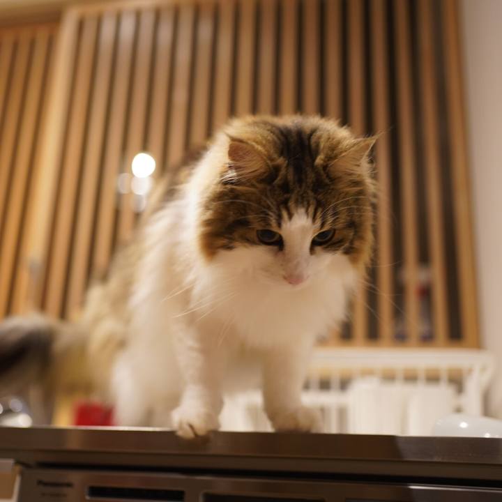 9afa4246 36d1 402a 8cf5 54aee4df78c9 1586007143967