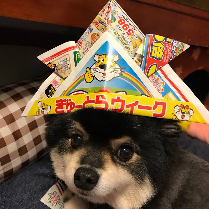 9afa4859 1837 4cc4 b948 391f21b7dd5d 1525477392110