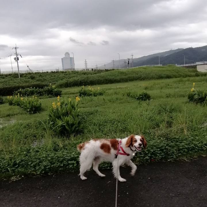 9afa924c cd24 4f60 bc59 b1f151ea99fa 1594195844307