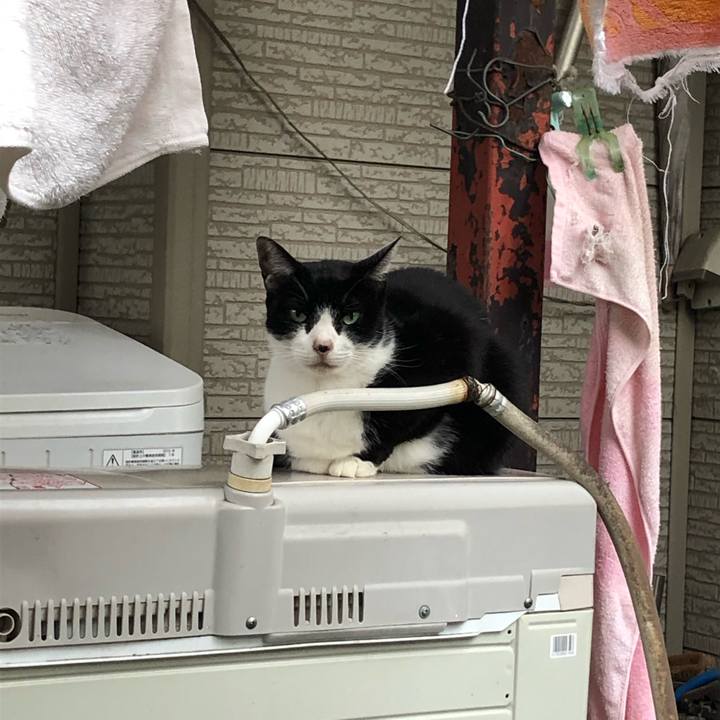 9aface1e f702 4a13 9a6a 1a3947350e22 1603576990669