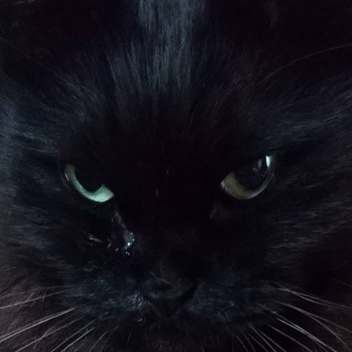 9afacfe4 1b25 4f2d 85ed 14b90c9b6964 1582329910943