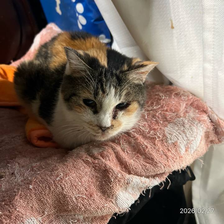 9afad680 56d6 42f5 a7a1 fa8074b6e754 1772144485383