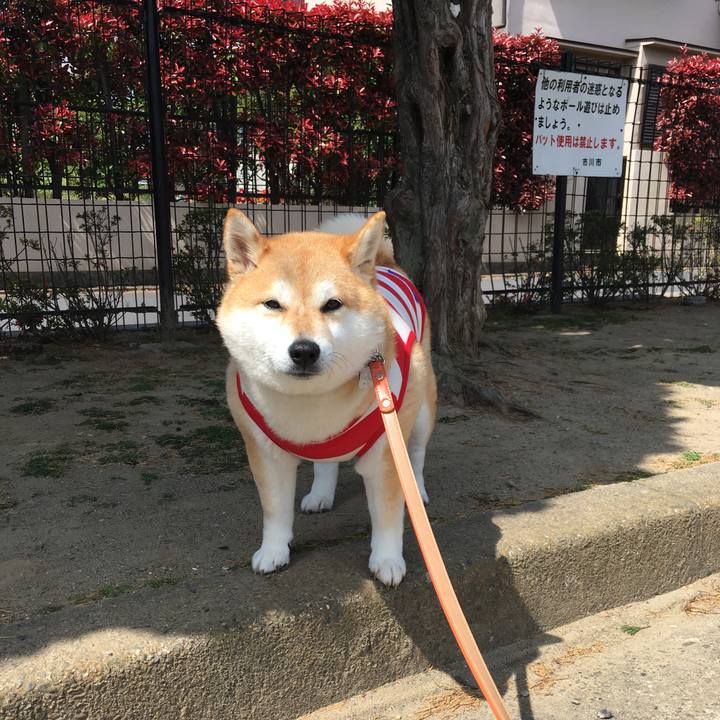 9afb01b4 65c0 4c61 8552 6d08642e656c 1555552252176