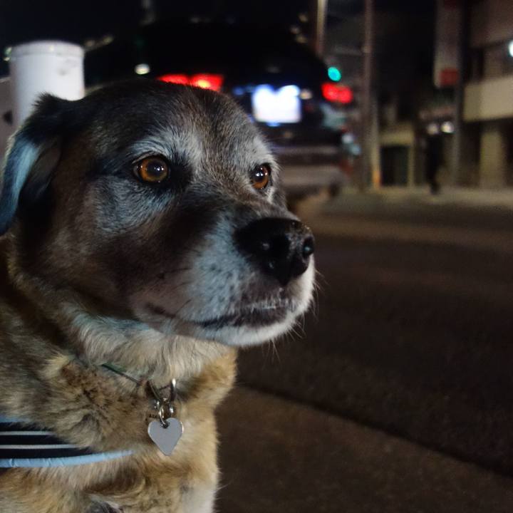 9afb1525 8852 4c89 9cca 475de8924b76 1549544926182