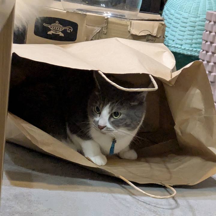 9afb4283 115f 4fd4 b1ee c9d8960cefb4 1748173649515