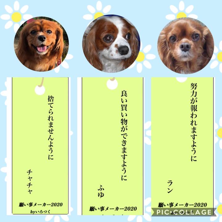 9afc0333 46ad 4ac4 ba90 57f3adc1968c 1594040977442