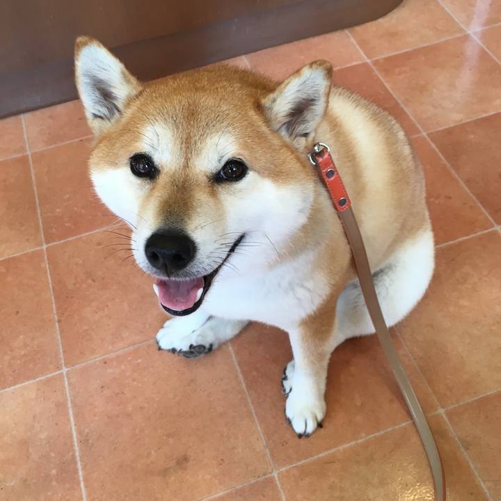 9afc5ed8 54a9 4aba b1ed f68c59f97c33 1568345045402