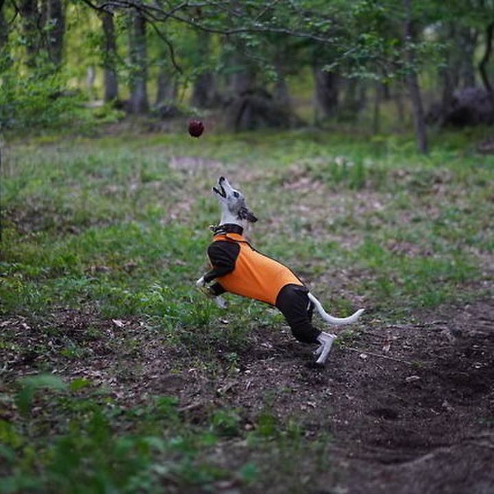 9afccdf8 54bd 4d2f aa47 2bec616a12b7 1528722044220