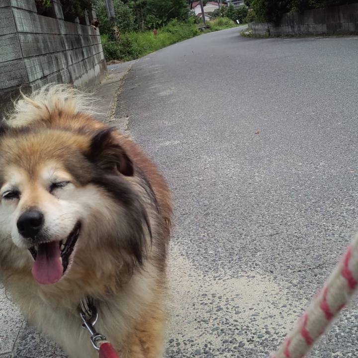 9afce1e8 875e 4a05 bf7b c570e5b19363 1572767244848