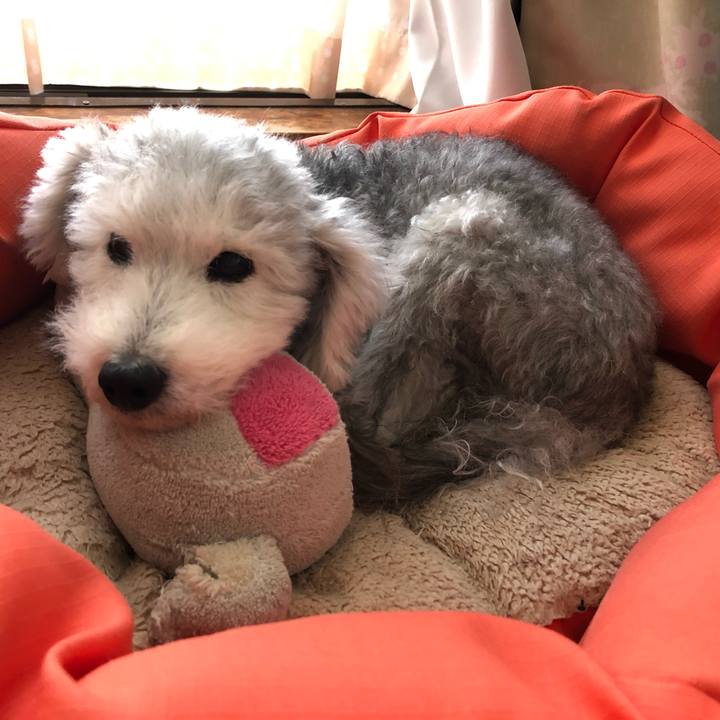 9afce9ab c3cd 47c9 a507 d3fc3d7eb9cf 1600738276329