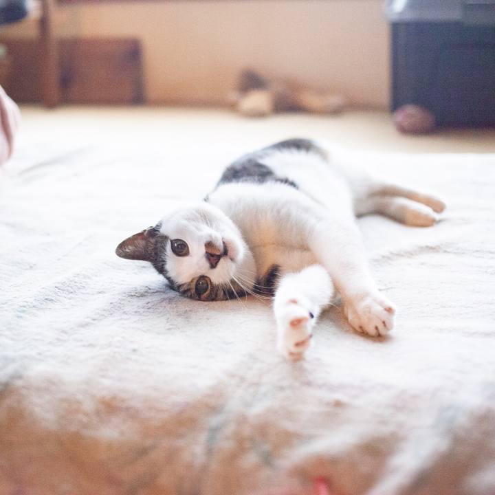 9afd1105 563d 4acc b374 c90b7377dedc 1556157183289