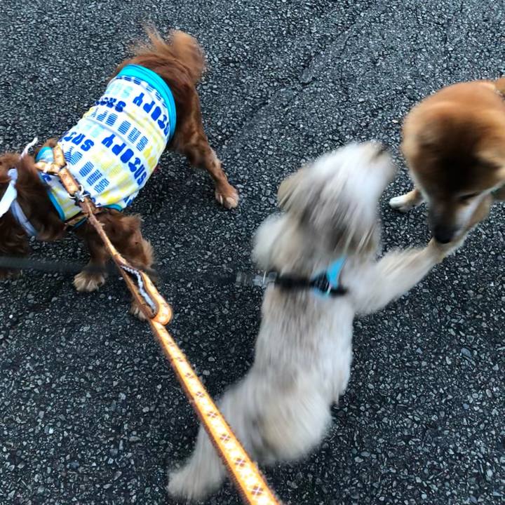 9afd15c3 1c25 4003 94d9 72d58ef35c3e 1628340219141