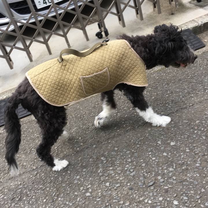 9afd20cf 3706 442a ac59 884a9c646a65 1519896257249