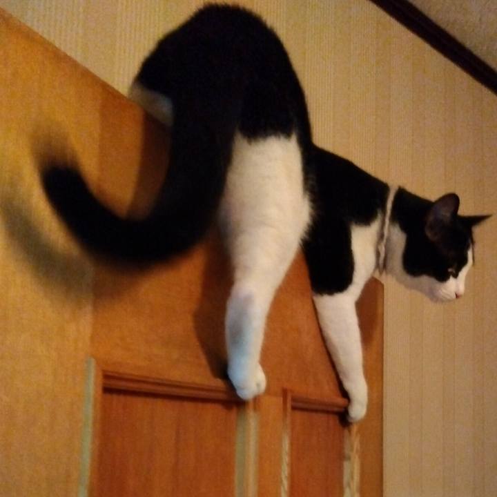 9afd80d3 c330 4fc6 83f4 a7ba7674a856 1656762069288