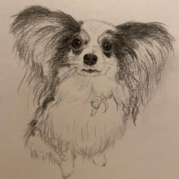 9afd9893 0b6e 450f 9a5d 43cb2b54e19f 1657806765895