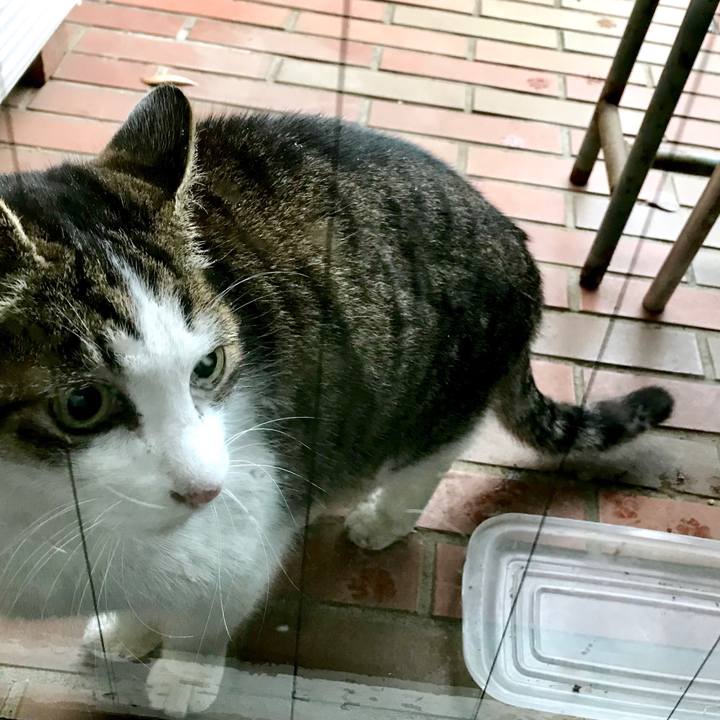 9afdb00a 68e2 48fd 8d98 c888589d1931 1551492921127