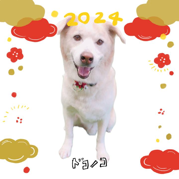 9afdb70c 5d94 4f07 aef2 64c274a0c298 1704075875143