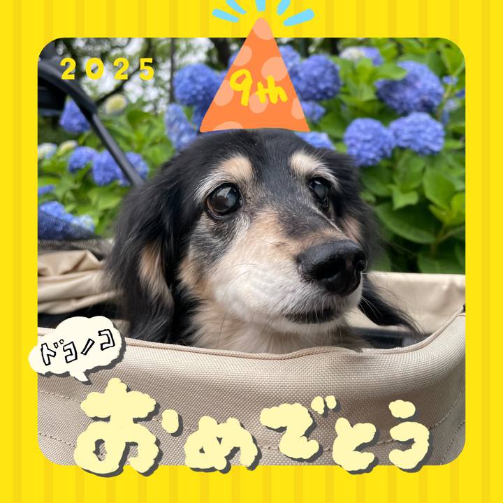 9afdcf13 ef25 4a29 8fef 92432ce78642 1749124647053