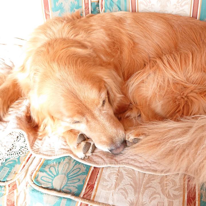 9afdfddf 4bf9 4a5e b31e ad93e5145b84 1583021145152