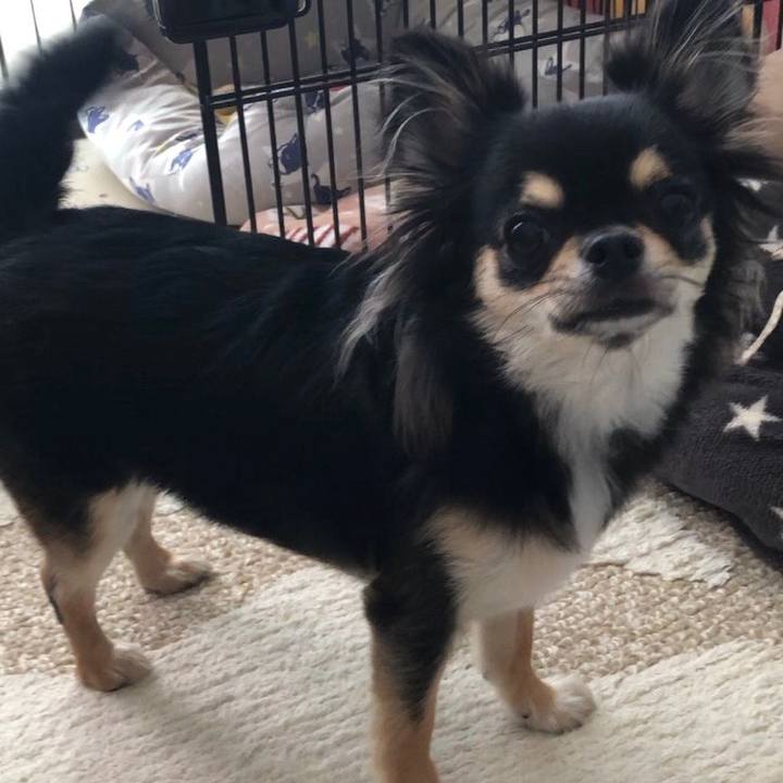 9afe20b7 b5d9 4300 b978 f5c191957d0c 1563261219225