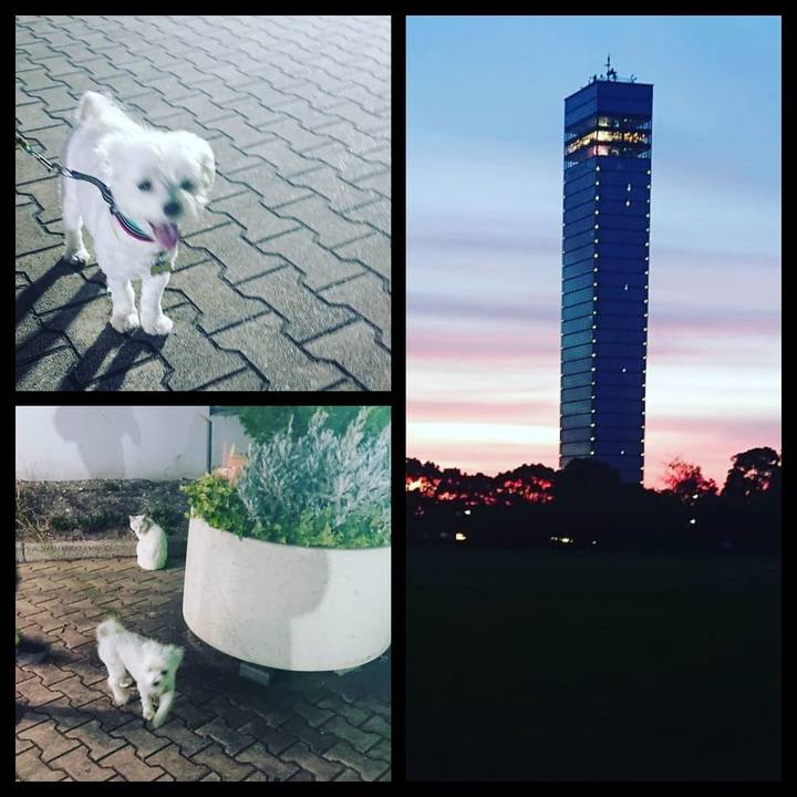 9afe48a3 5e95 46ad ac73 557c961add83 1534594559324