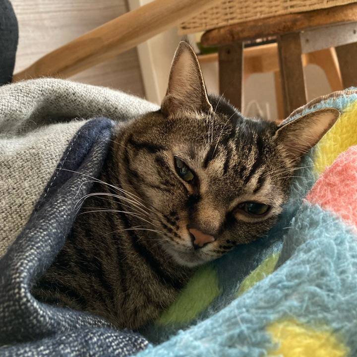 9afe4ed9 2bda 408f 96d7 86eb4f0a0df1 1609124194178