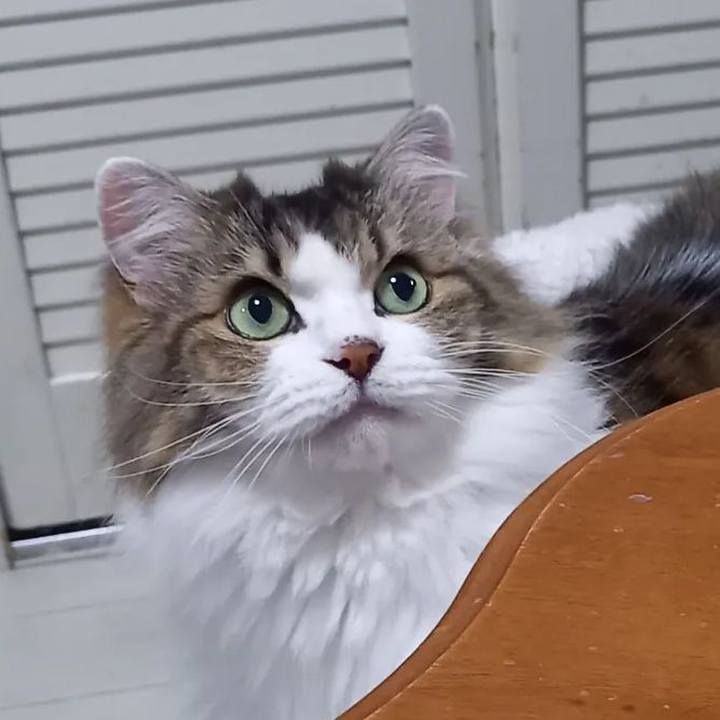 9afe5f38 9cfe 4e88 a1b2 57f555464eed 1695079154433