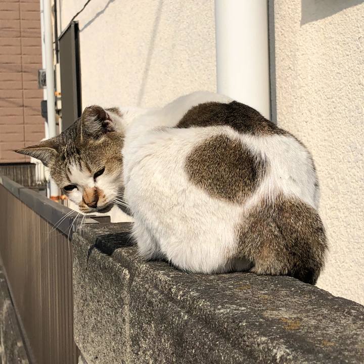 9afe832b 0357 44f3 973f 8bd24ab46d1b 1519718167205