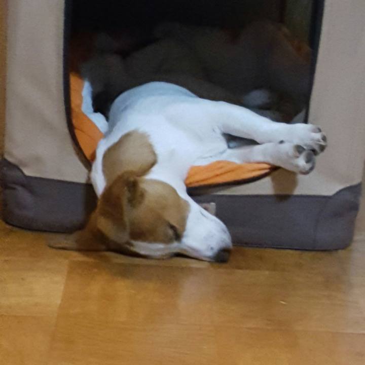 9afe8641 83e7 4a3a be30 0d8f62269eef 1556798695281