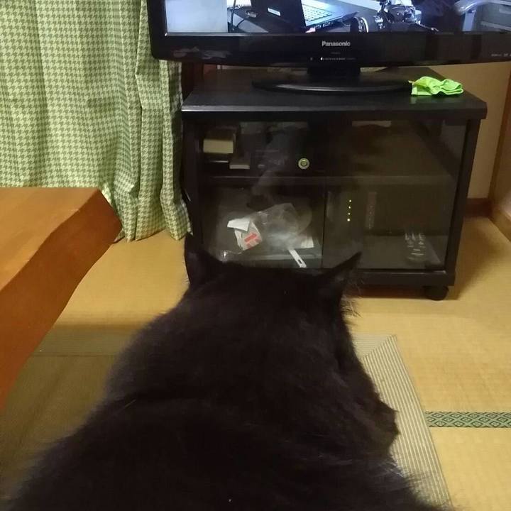 9afebf0a f1e7 46ee bff2 405bea25b68b 1508064702524