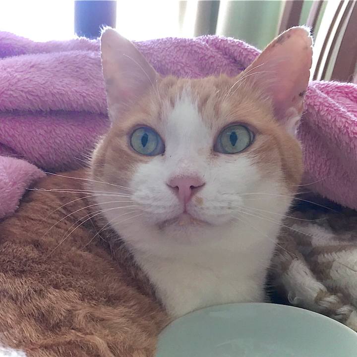 9afed6e1 459e 49dc 8866 06edfcad10f0 1587527998342