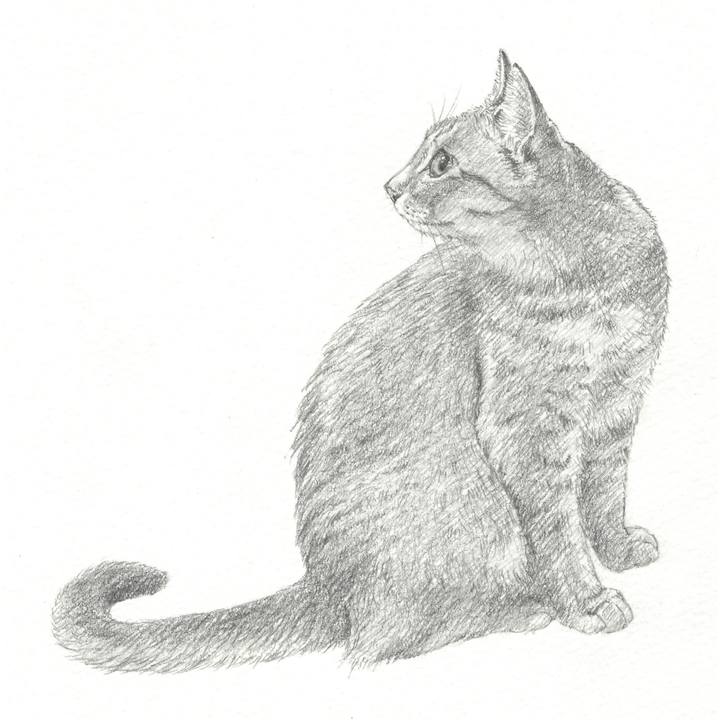 9afefec0 a5ef 4e28 a478 691e8f6c625f 1542881414682