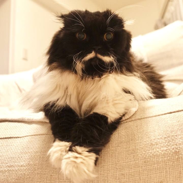 9aff40e0 8a0e 4dc1 94c6 bd01fd768d13 1528206860798