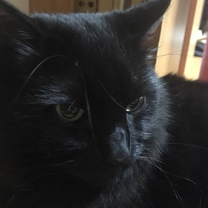 9aff5aa2 ae95 4f56 ab76 d7190b7d5855 1527167091857