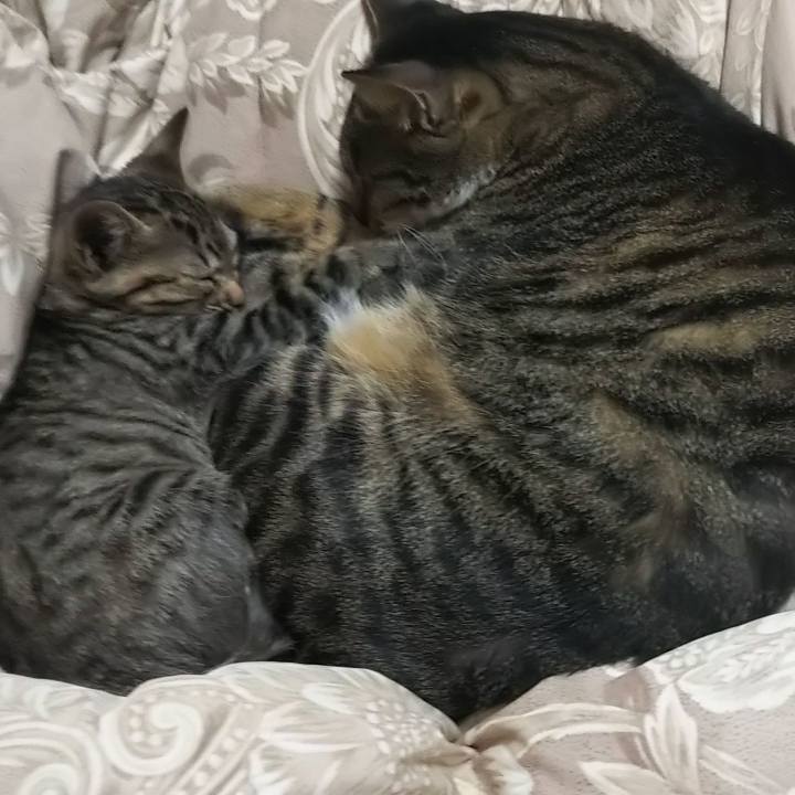 9aff9e4e 6d4c 4ba4 8326 962021e2eb6c 1635673460581