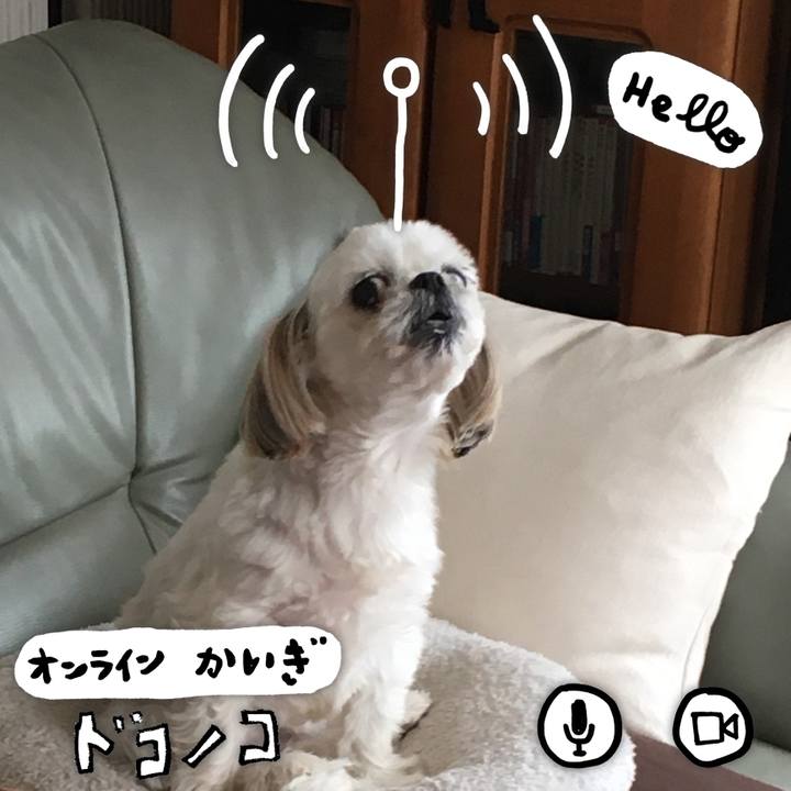 9affcb45 76a1 47b5 b1a0 9d66fb76dda9 1590815050452