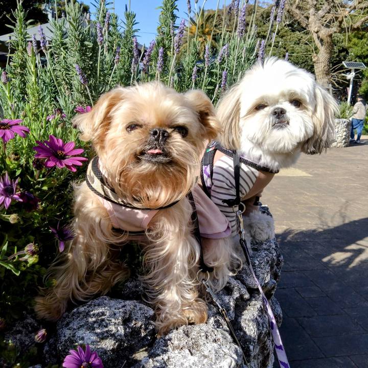 9afff7a2 4408 4a07 97fd 131b578f602f 1679320937065