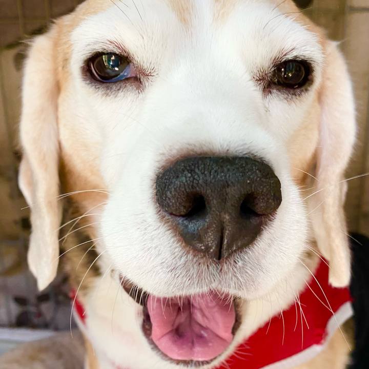 9b000220 7842 40c2 b453 1432c1cbe883 1603943875878