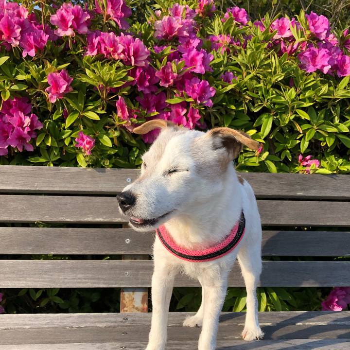 9b001fb2 888d 4892 b376 9e20bb551ddd 1588339202180