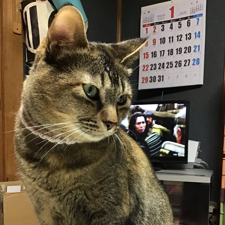 9b00884a ec2c 4d56 bb46 c2058fe288a9 1673773594167