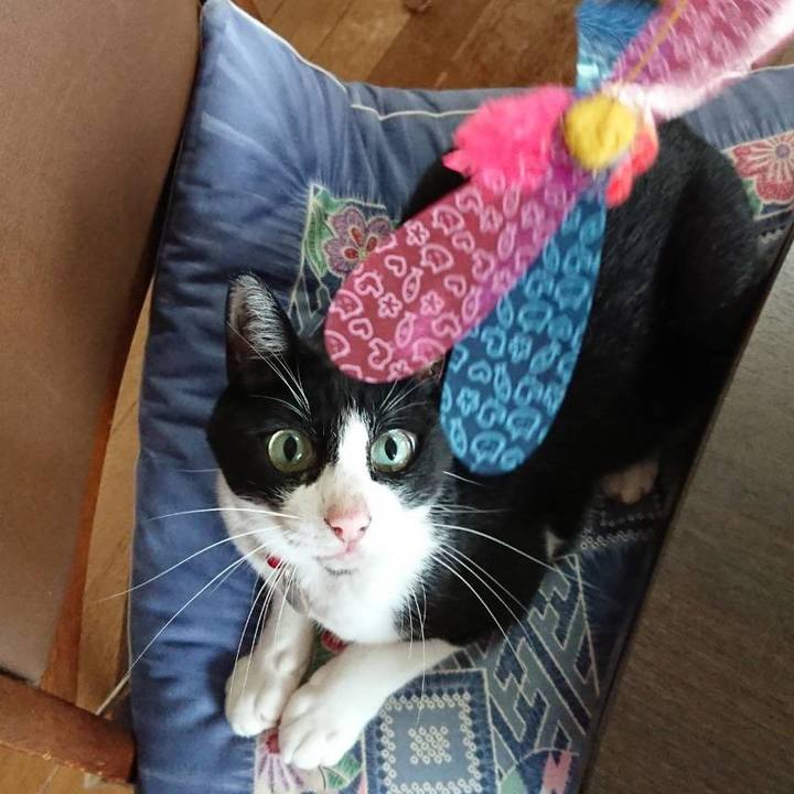 9b011a30 b081 48d7 8a10 4de94ae2efc7 1664060368849