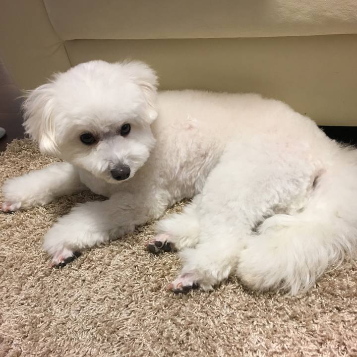 9b011e86 015a 45d9 8611 b5223ebe665f 1548917951017