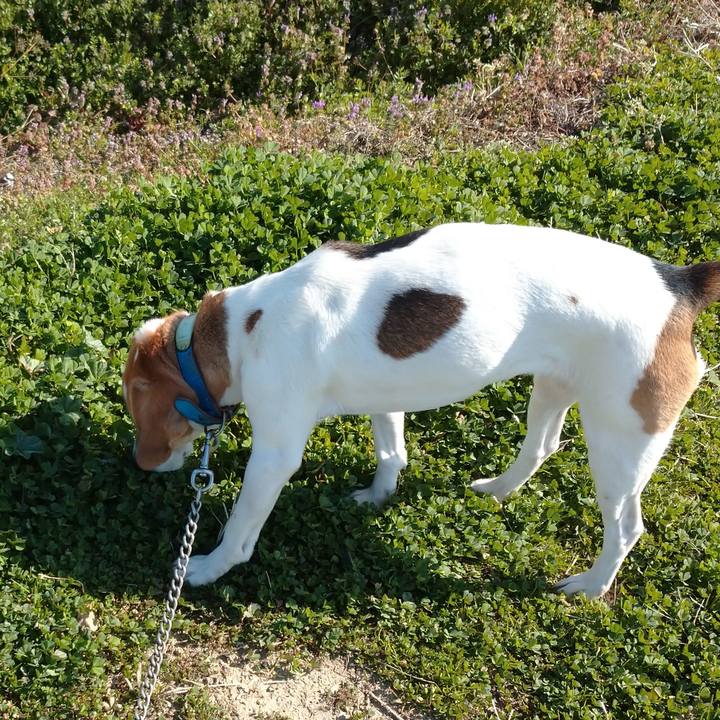 9b0135d1 d1f6 4f52 8e34 031e4e970cb2 1614170929987