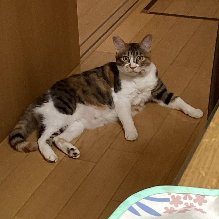 9b01388c 6a32 4fc7 856d 4917c403892a 1689990648297